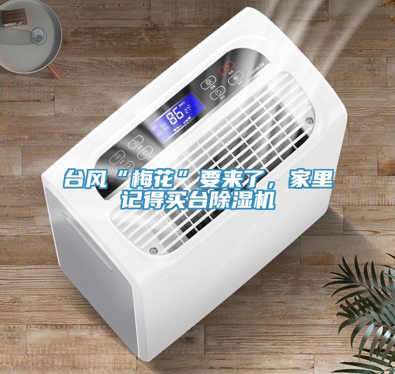 臺風(fēng)“梅花”要來了，家里記得買臺除濕機