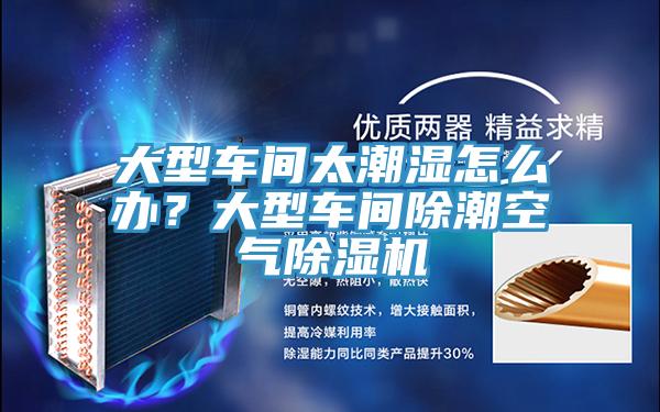 大型車間太潮濕怎么辦？大型車間除潮空氣除濕機