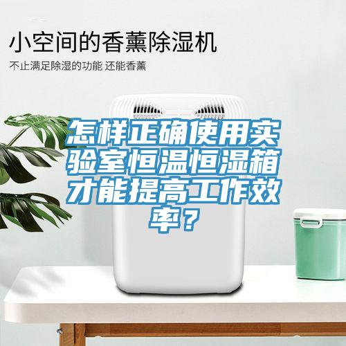 怎樣正確使用實驗室恒溫恒濕箱才能提高工作效率？