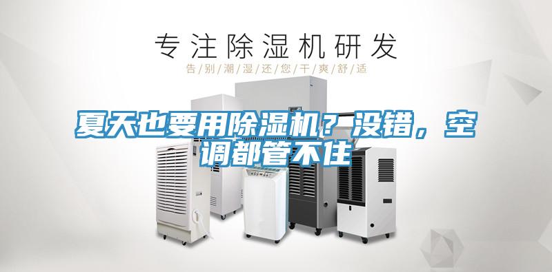 夏天也要用除濕機(jī)？沒(méi)錯(cuò)，空調(diào)都管不住
