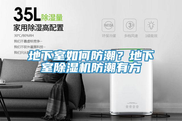 地下室如何防潮？地下室除濕機(jī)防潮有方
