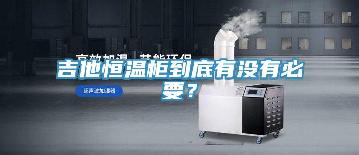 吉他恒溫柜到底有沒有必要？