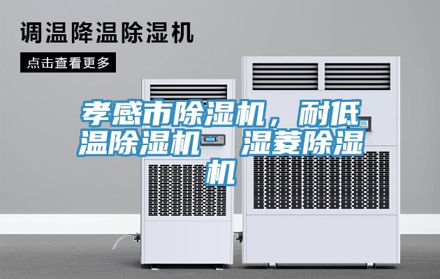 孝感市除濕機，耐低溫除濕機  濕菱除濕機