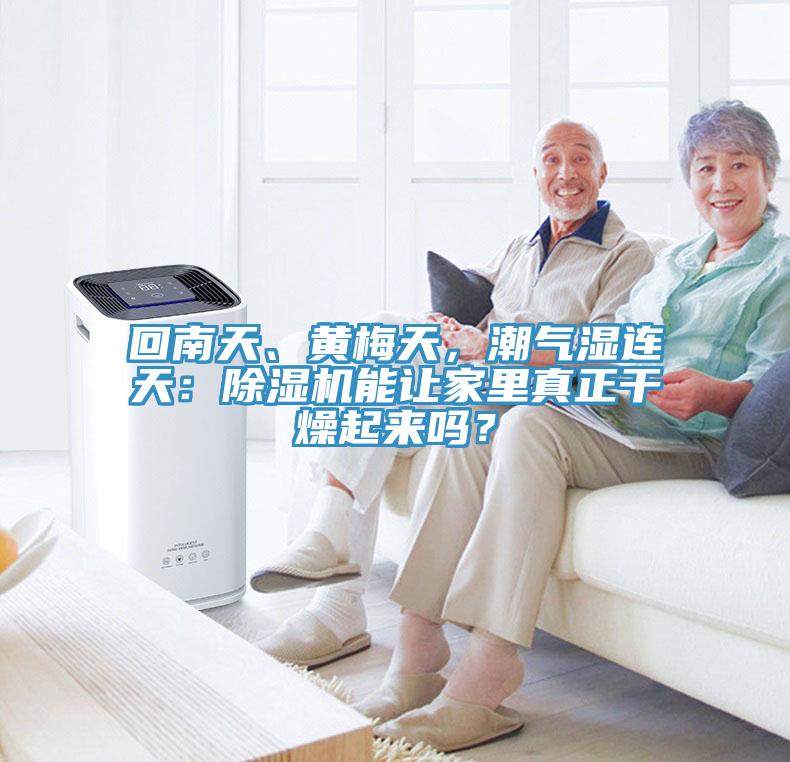 回南天、黃梅天，潮氣濕連天：除濕機能讓家里真正干燥起來嗎？