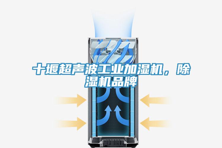 十堰超聲波工業(yè)加濕機(jī)，除濕機(jī)品牌