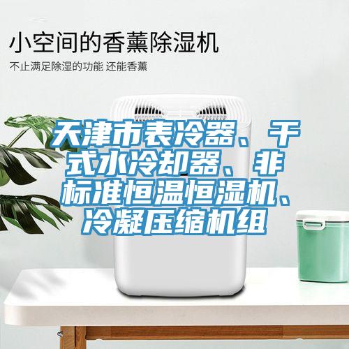 天津市表冷器、干式水冷卻器、非標(biāo)準(zhǔn)恒溫恒濕機(jī)、冷凝壓縮機(jī)組