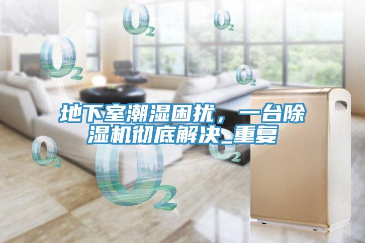 地下室潮濕困擾，一臺除濕機徹底解決_重復