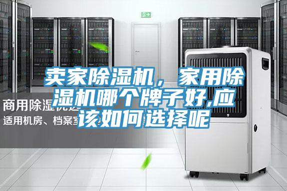 賣家除濕機，家用除濕機哪個牌子好,應該如何選擇呢