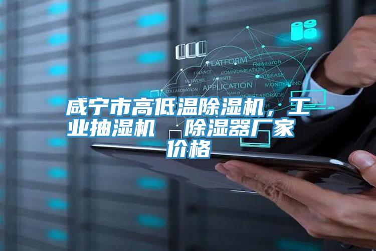 咸寧市高低溫除濕機，工業(yè)抽濕機  除濕器廠家 價格