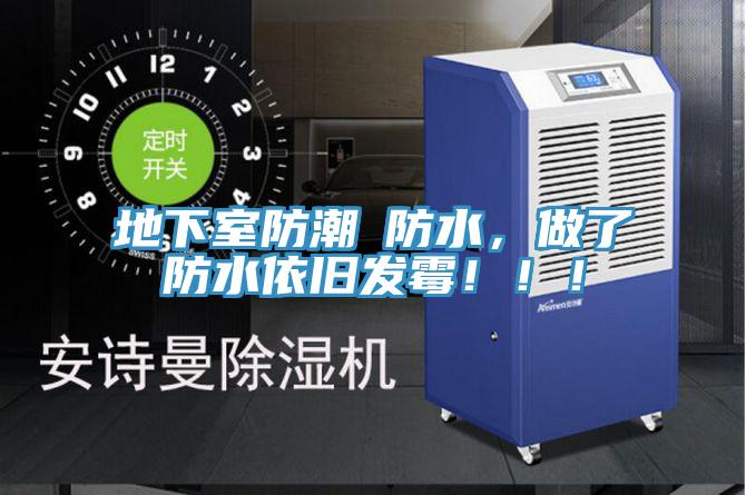 地下室防潮≠防水，做了防水依舊發(fā)霉！??！