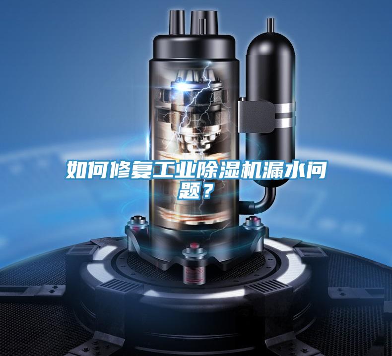如何修復(fù)工業(yè)除濕機(jī)漏水問(wèn)題？