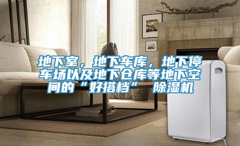 地下室，地下車庫(kù)，地下停車場(chǎng)以及地下倉(cāng)庫(kù)等地下空間的“好搭檔” 除濕機(jī)