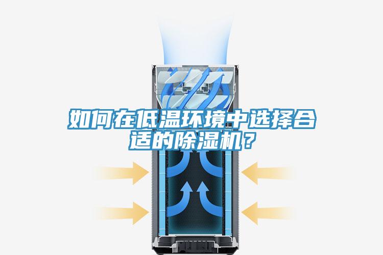 如何在低溫環(huán)境中選擇合適的除濕機？