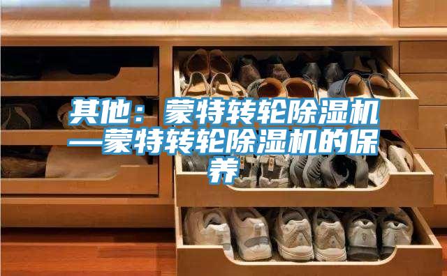 其他：蒙特轉(zhuǎn)輪除濕機(jī)—蒙特轉(zhuǎn)輪除濕機(jī)的保養(yǎng)