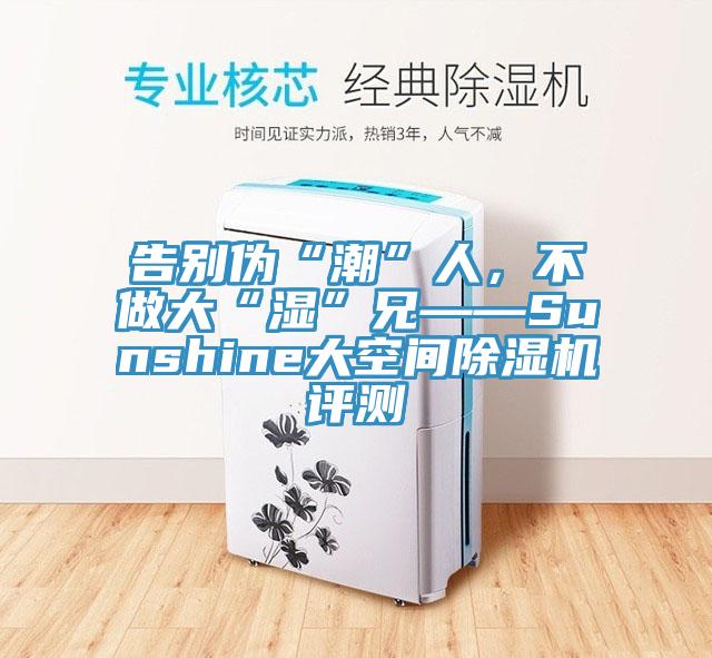 告別偽“潮”人，不做大“濕”兄——Sunshine大空間除濕機評測