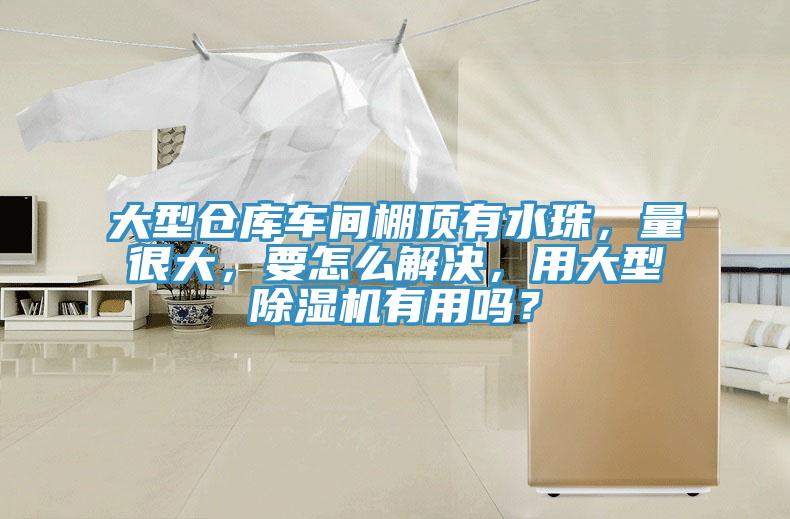 大型倉庫車間棚頂有水珠，量很大，要怎么解決，用大型除濕機(jī)有用嗎？