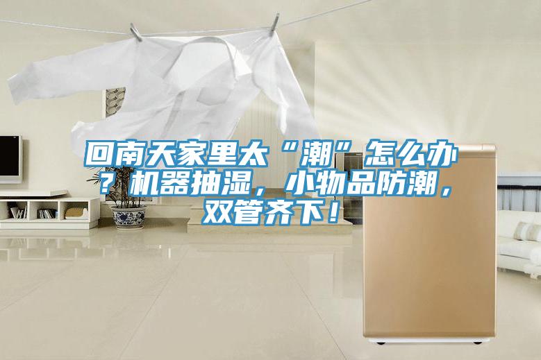 回南天家里太“潮”怎么辦？機器抽濕，小物品防潮，雙管齊下！