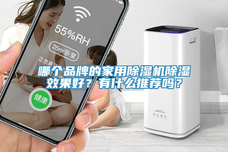 哪個品牌的家用除濕機(jī)除濕效果好？有什么推薦嗎？