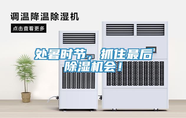 處暑時(shí)節(jié)，抓住最后除濕機(jī)會(huì)！
