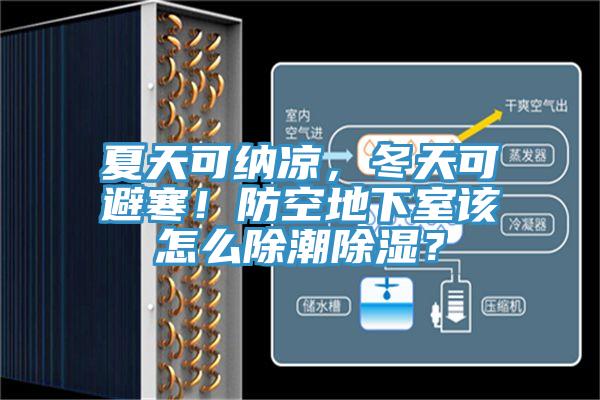 夏天可納涼，冬天可避寒！防空地下室該怎么除潮除濕？