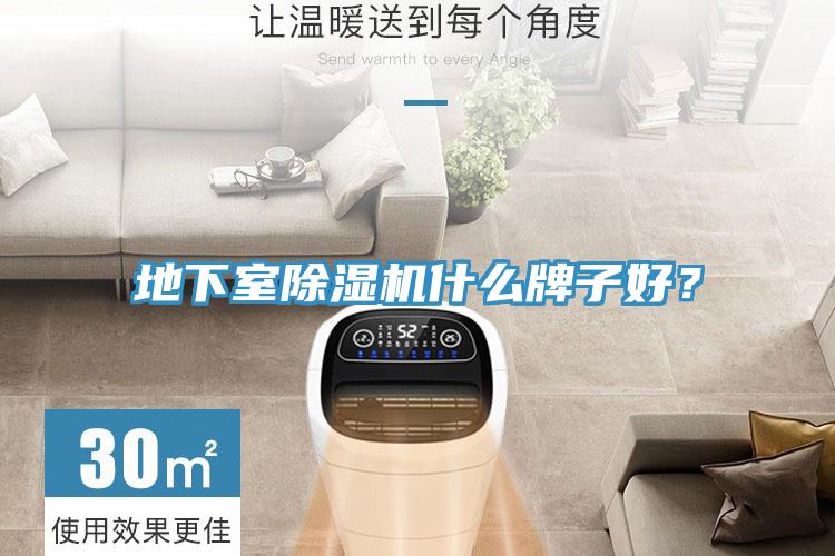 地下室除濕機(jī)什么牌子好？