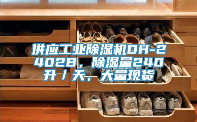 供應(yīng)工業(yè)除濕機(jī)DH-2402B，除濕量240升／天，大量現(xiàn)貨