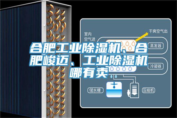 合肥工業(yè)除濕機、合肥峻邁、工業(yè)除濕機哪有賣