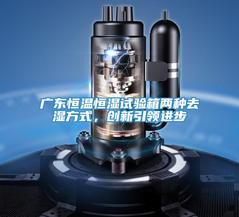 廣東恒溫恒濕試驗箱兩種去濕方式，創(chuàng)新引領(lǐng)進步