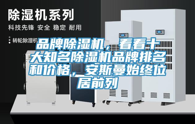 品牌除濕機，看看十大知名除濕機品牌排名和價格，安斯曼始終位居前列