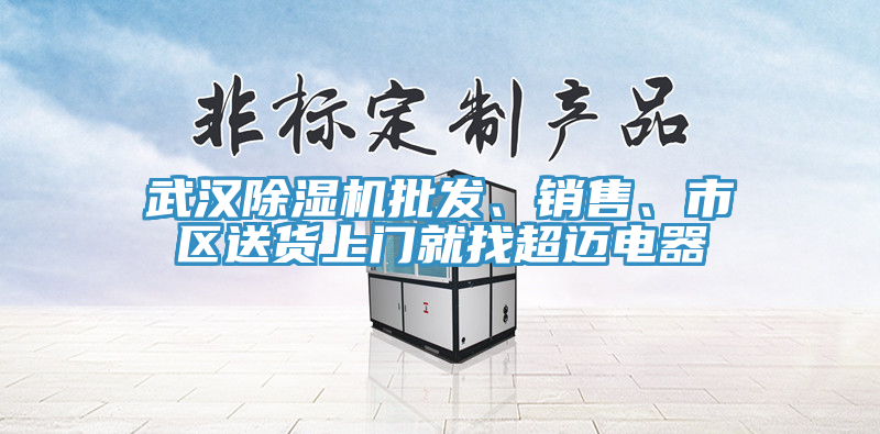 武漢除濕機(jī)批發(fā)、銷售、市區(qū)送貨上門就找超邁電器