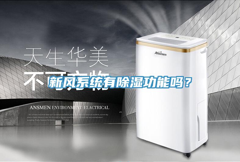 新風(fēng)系統(tǒng)有除濕功能嗎？
