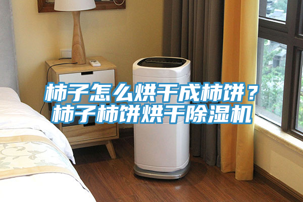 柿子怎么烘干成柿餅？柿子柿餅烘干除濕機(jī)