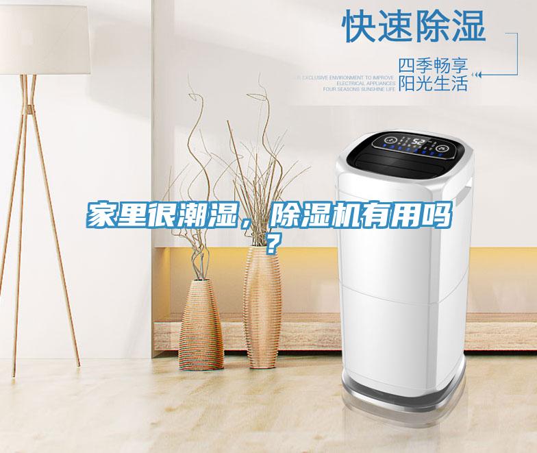家里很潮濕，除濕機有用嗎？