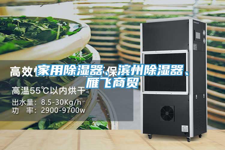 家用除濕器、濱州除濕器、雁飛商貿(mào)
