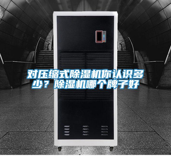 對壓縮式除濕機(jī)你認(rèn)識多少？除濕機(jī)哪個(gè)牌子好