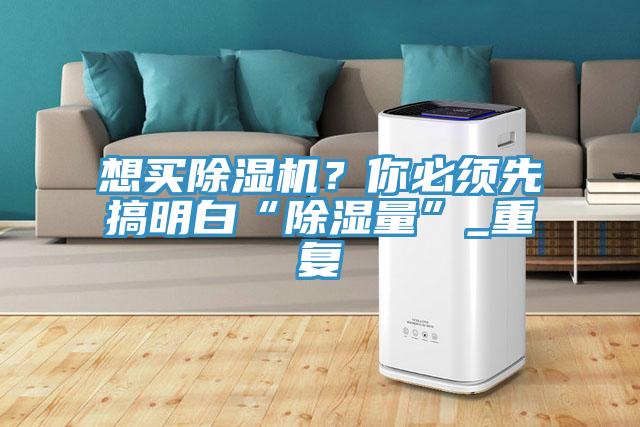 想買除濕機？你必須先搞明白“除濕量”_重復(fù)