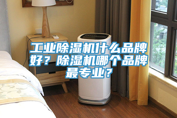 工業(yè)除濕機什么品牌好？除濕機哪個品牌最專業(yè)？