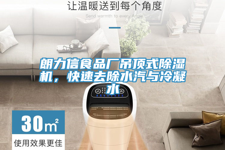 朗力信食品廠吊頂式除濕機，快速去除水汽與冷凝水