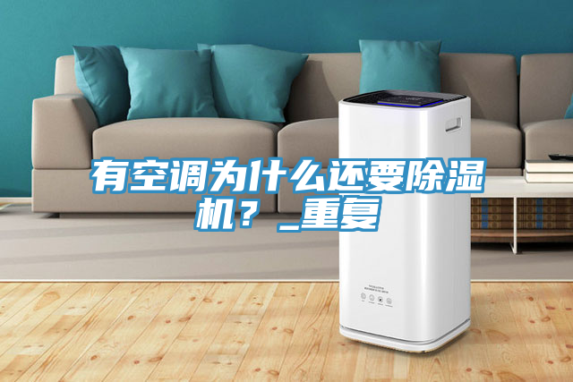 有空調(diào)為什么還要除濕機？_重復
