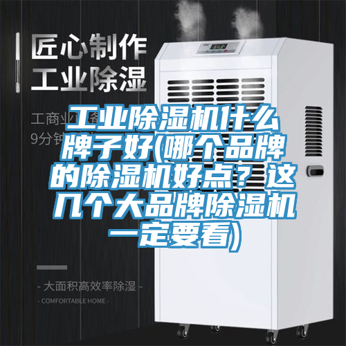 工業(yè)除濕機什么牌子好(哪個品牌的除濕機好點？這幾個大品牌除濕機一定要看)