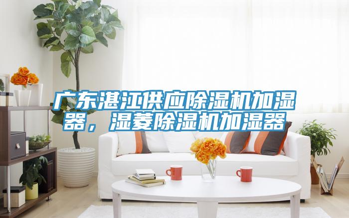 廣東湛江供應(yīng)除濕機(jī)加濕器，濕菱除濕機(jī)加濕器