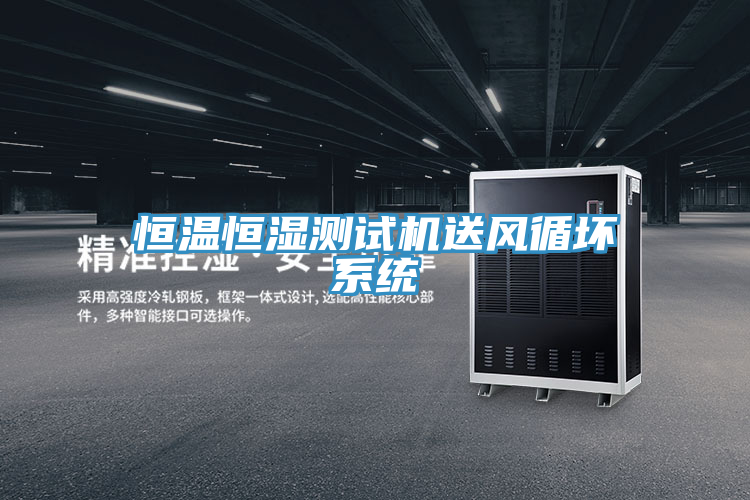 恒溫恒濕測試機送風(fēng)循壞系統(tǒng)