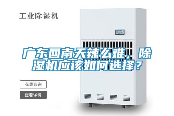 廣東回南天辣么難，除濕機(jī)應(yīng)該如何選擇？