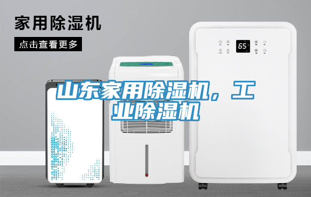 山東家用除濕機，工業(yè)除濕機
