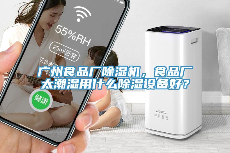 廣州食品廠除濕機，食品廠太潮濕用什么除濕設備好？