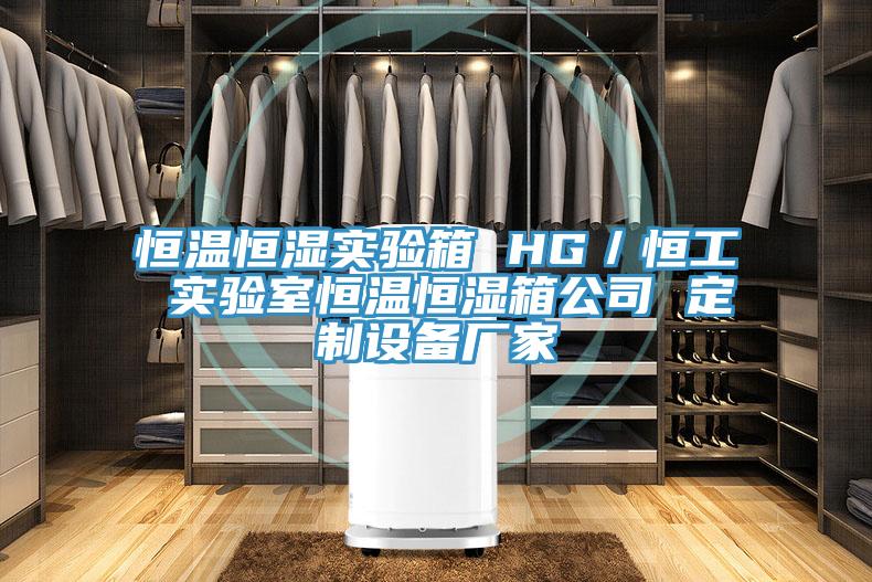 恒溫恒濕實(shí)驗(yàn)箱 HG/恒工 實(shí)驗(yàn)室恒溫恒濕箱公司 定制設(shè)備廠家