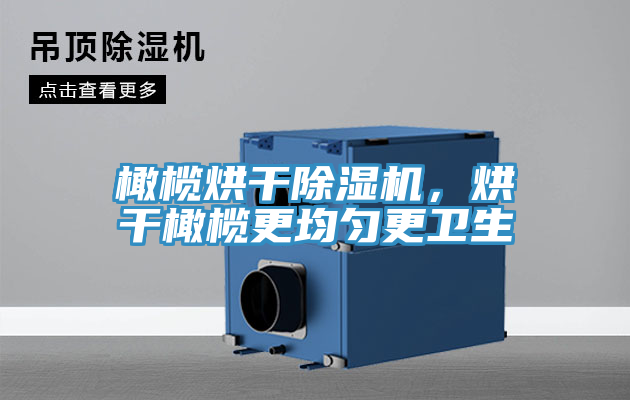 橄欖烘干除濕機(jī)，烘干橄欖更均勻更衛(wèi)生