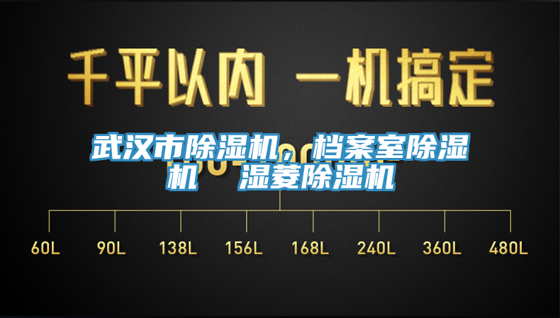 武漢市除濕機(jī)，檔案室除濕機(jī)  濕菱除濕機(jī)