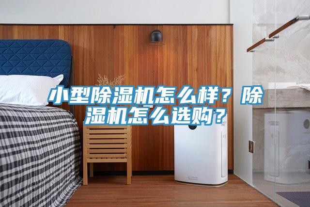 小型除濕機(jī)怎么樣？除濕機(jī)怎么選購？