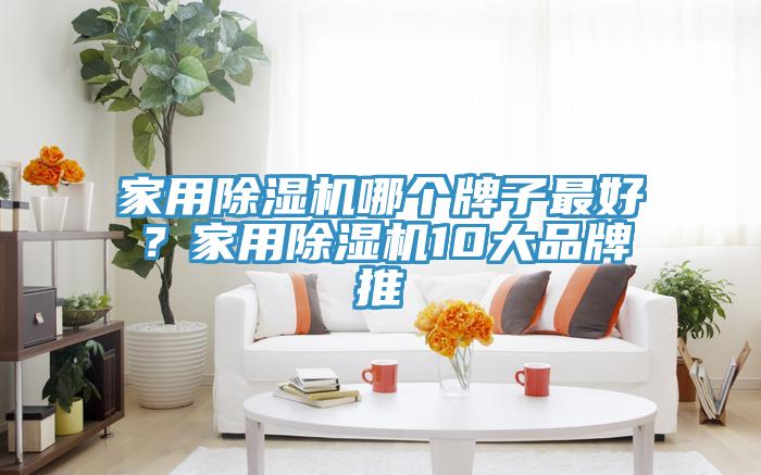 家用除濕機哪個牌子最好？家用除濕機10大品牌推